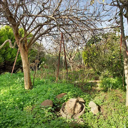 Semesterbostad Casa Do Lenhador Canhas