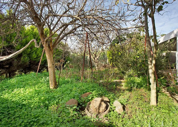 Prázdninový dům Casa Do Lenhador Canhas